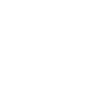 ig icon
